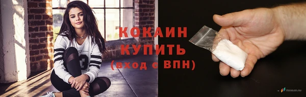 дурь Няндома