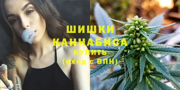 амф Богородицк