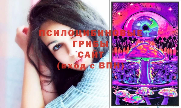 амф Богородицк