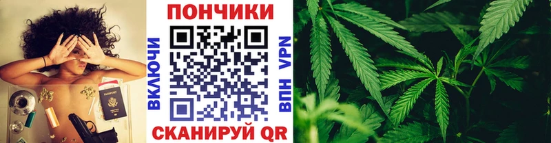 где продают наркотики  Наро-Фоминск  Марихуана конопля 